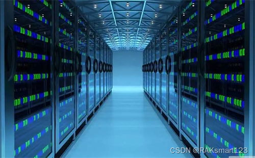 淺析美國Raksmart服務器幾種常見文件系統及其數據處理與存儲支持服務
